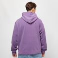 Small Signature Washed Hoodie