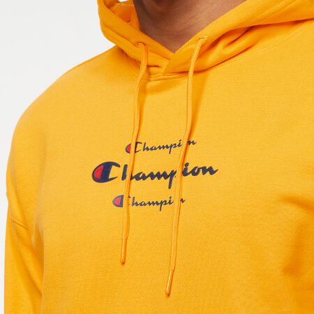 ROC Champion Logo Hoodie