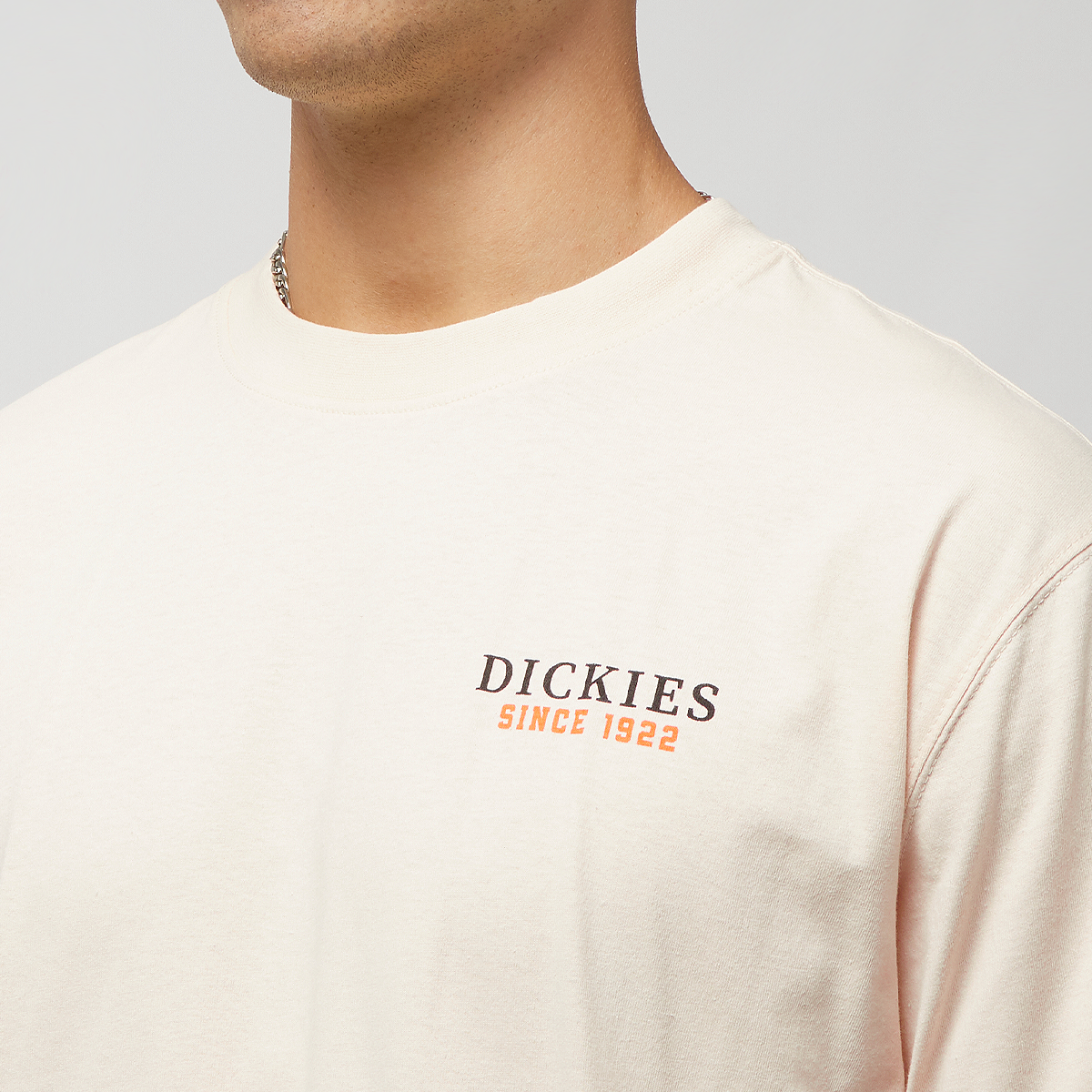 Dickies Westmoreland Tee Short Sleeve T-shirts Heren whitecap gray maat: M beschikbare maaten:S M L