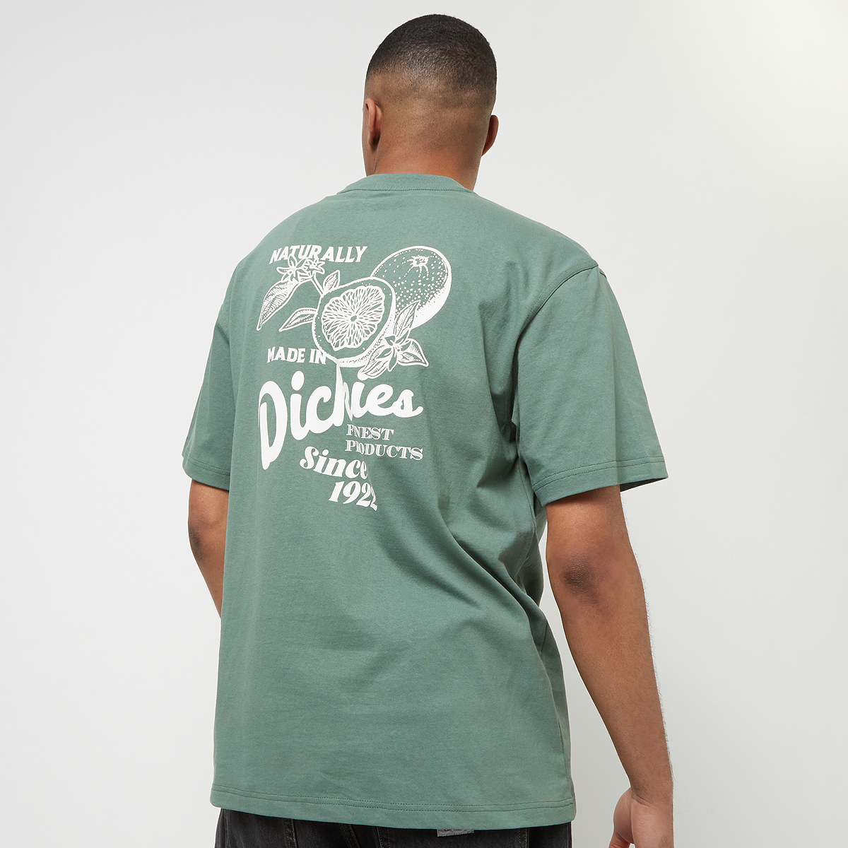 Dickies Raven Tee Shortsleeve T-shirts Heren dark forest maat: XL beschikbare maaten:S XL