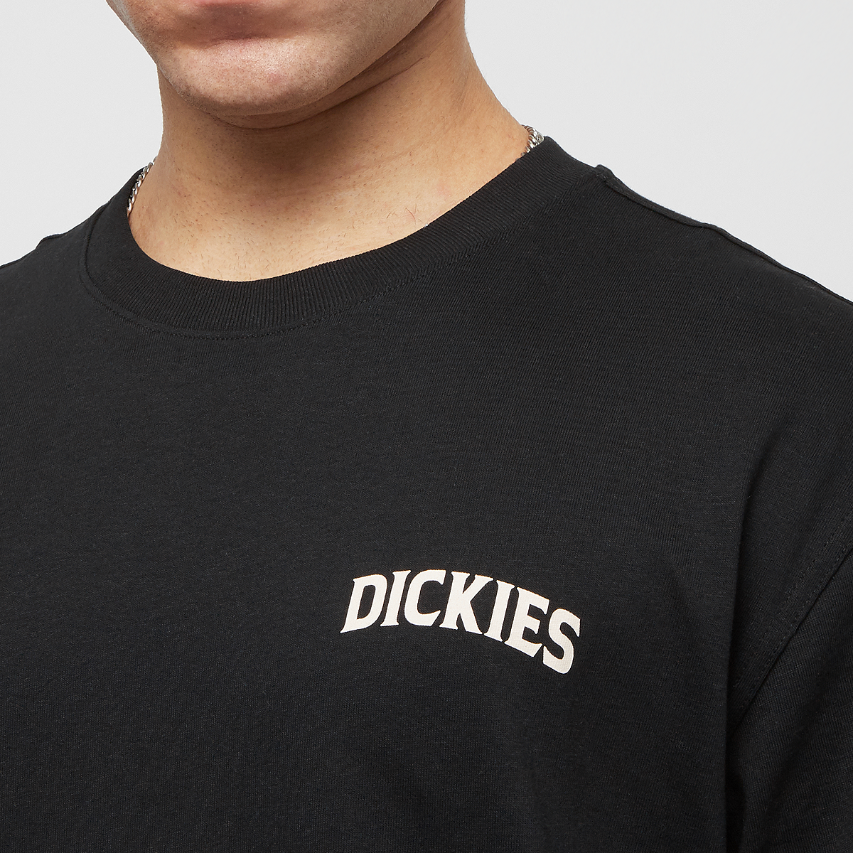 Dickies Elliston Tee Shortsleeve T-shirts Heren black maat: S beschikbare maaten:S M XL