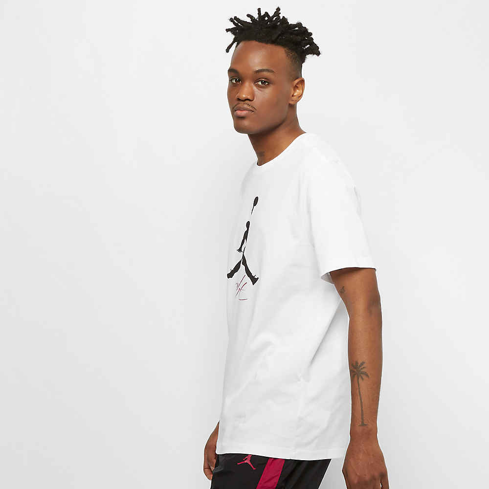Jordan Jumpman F Hbr T-shirts Heren light white black maat: M beschikbare maaten:M L XL